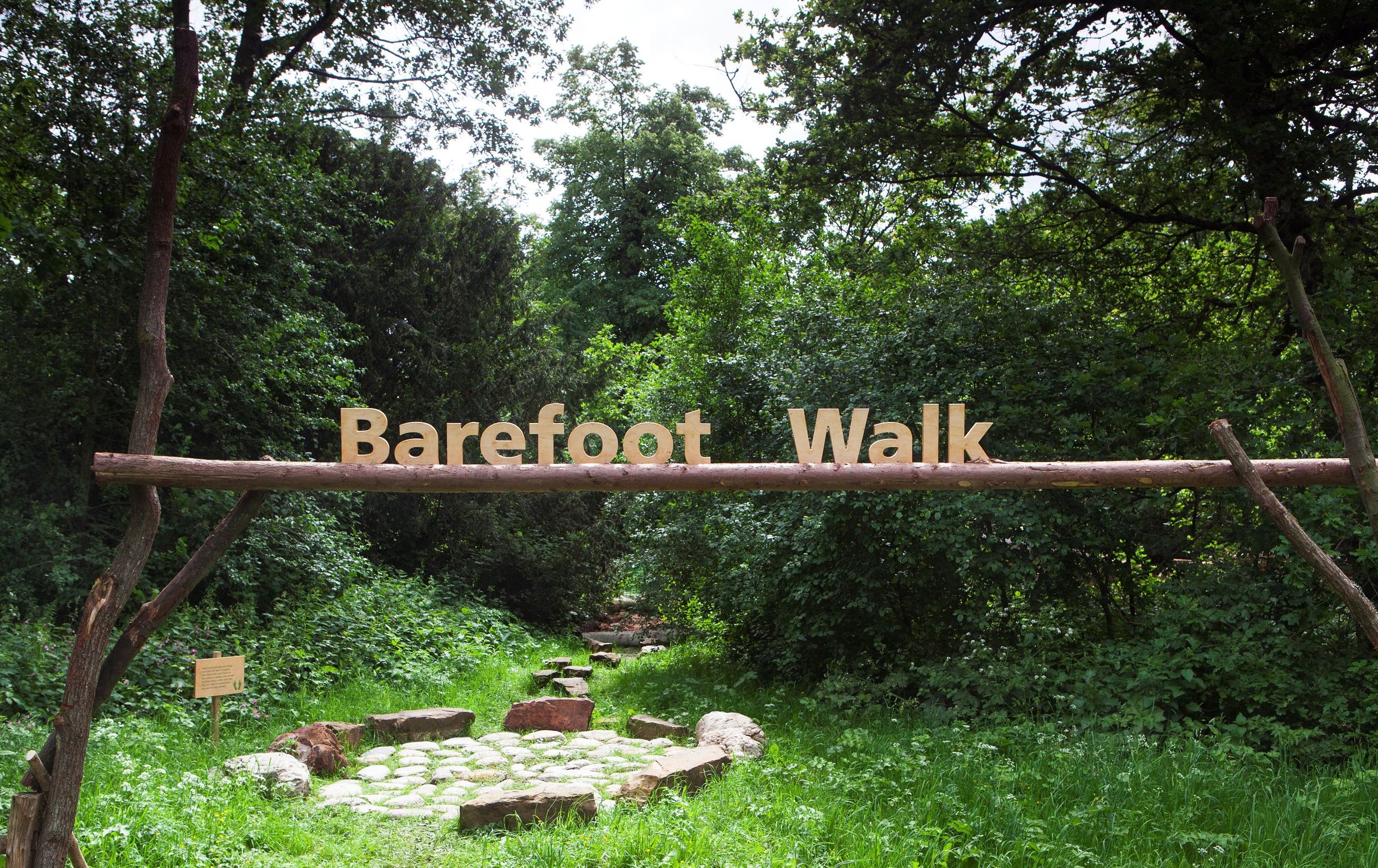 001_Kew-barefoot-walk_Photo-Lewis-Allen