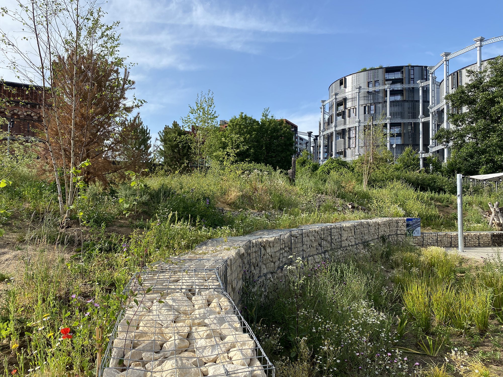 003_CamleySt_ErectArchitecture_PhotoHTA_update