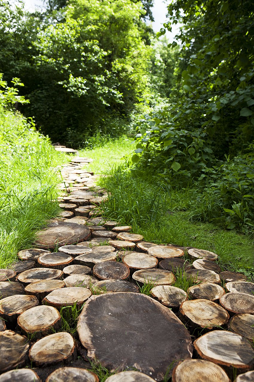 003_Kew-barefoot-walk_Photo-Lewis-Allen