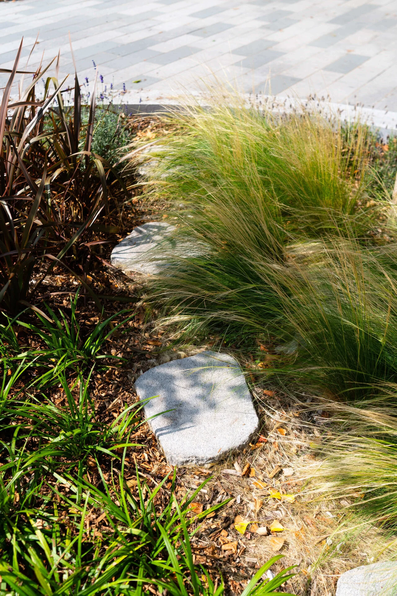 Juniper Pocket Park