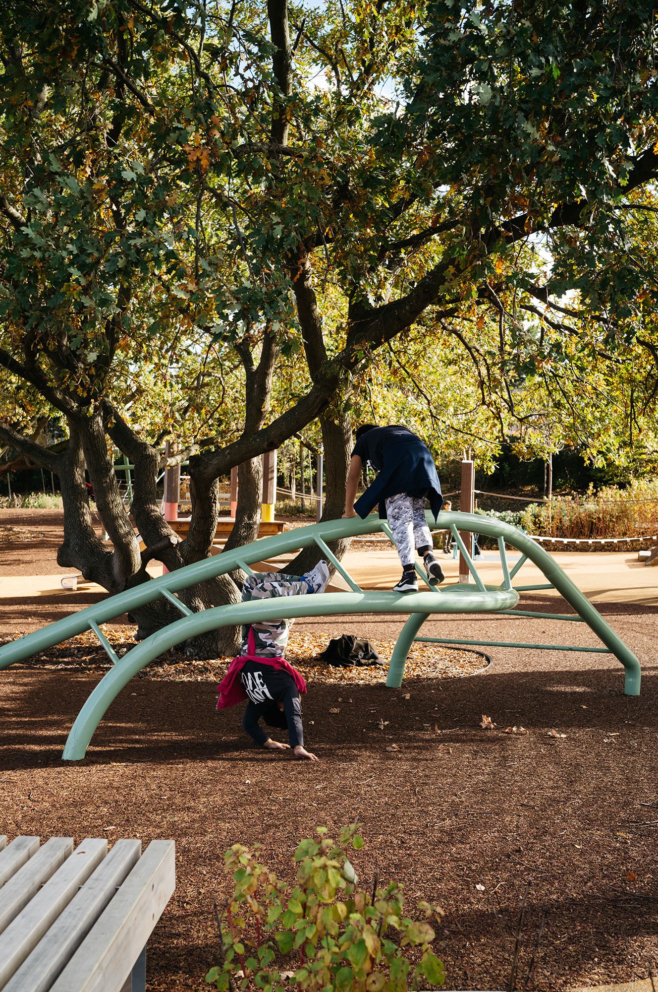 007_ClaremontParkPlayground_ErectArchitecture_photo-LewisRonald