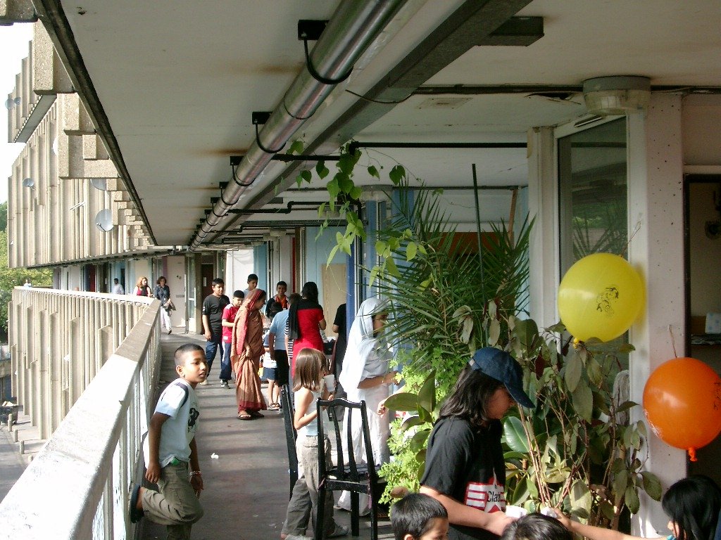 IMGP7806.JPG