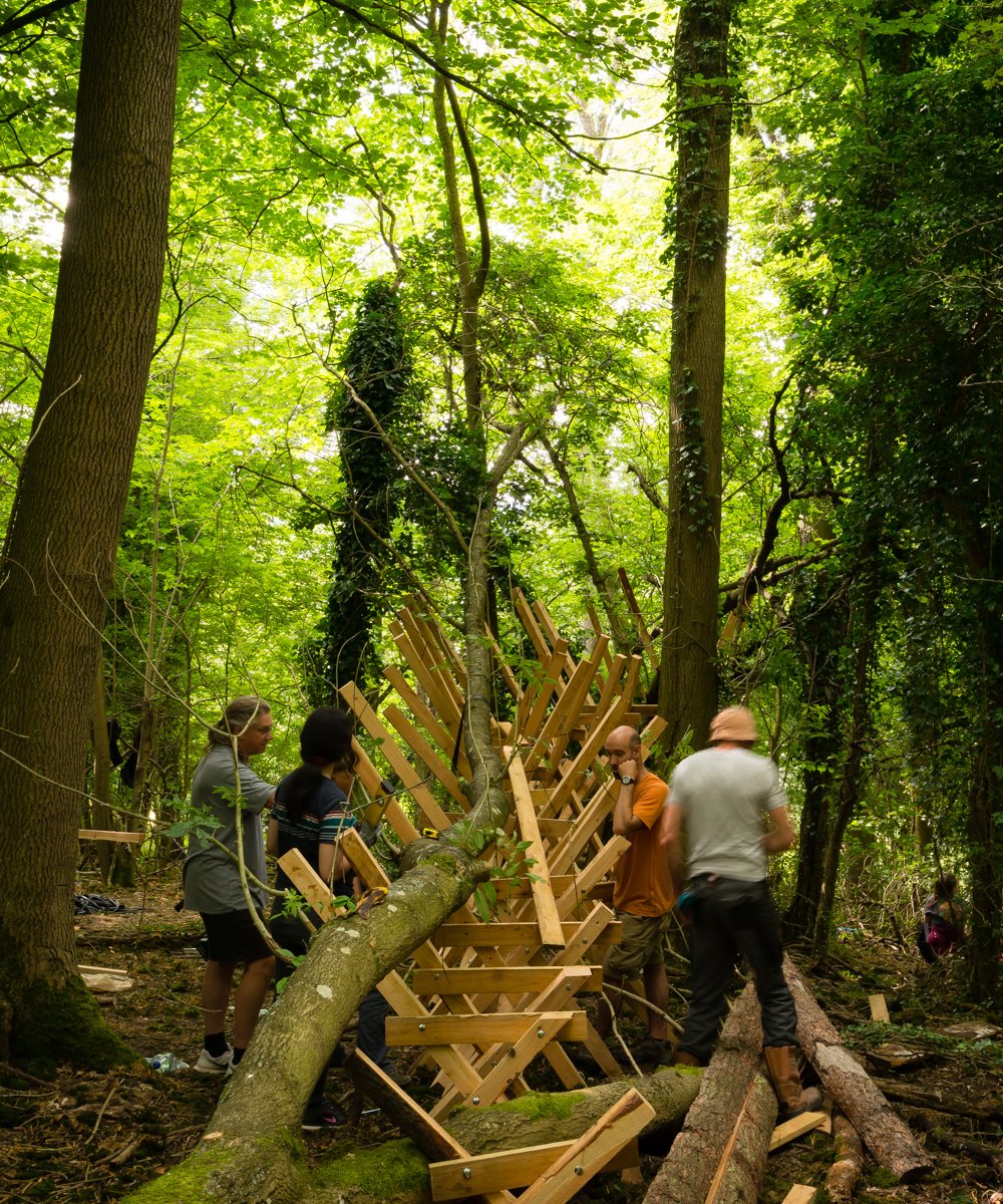 Studio in the Woods