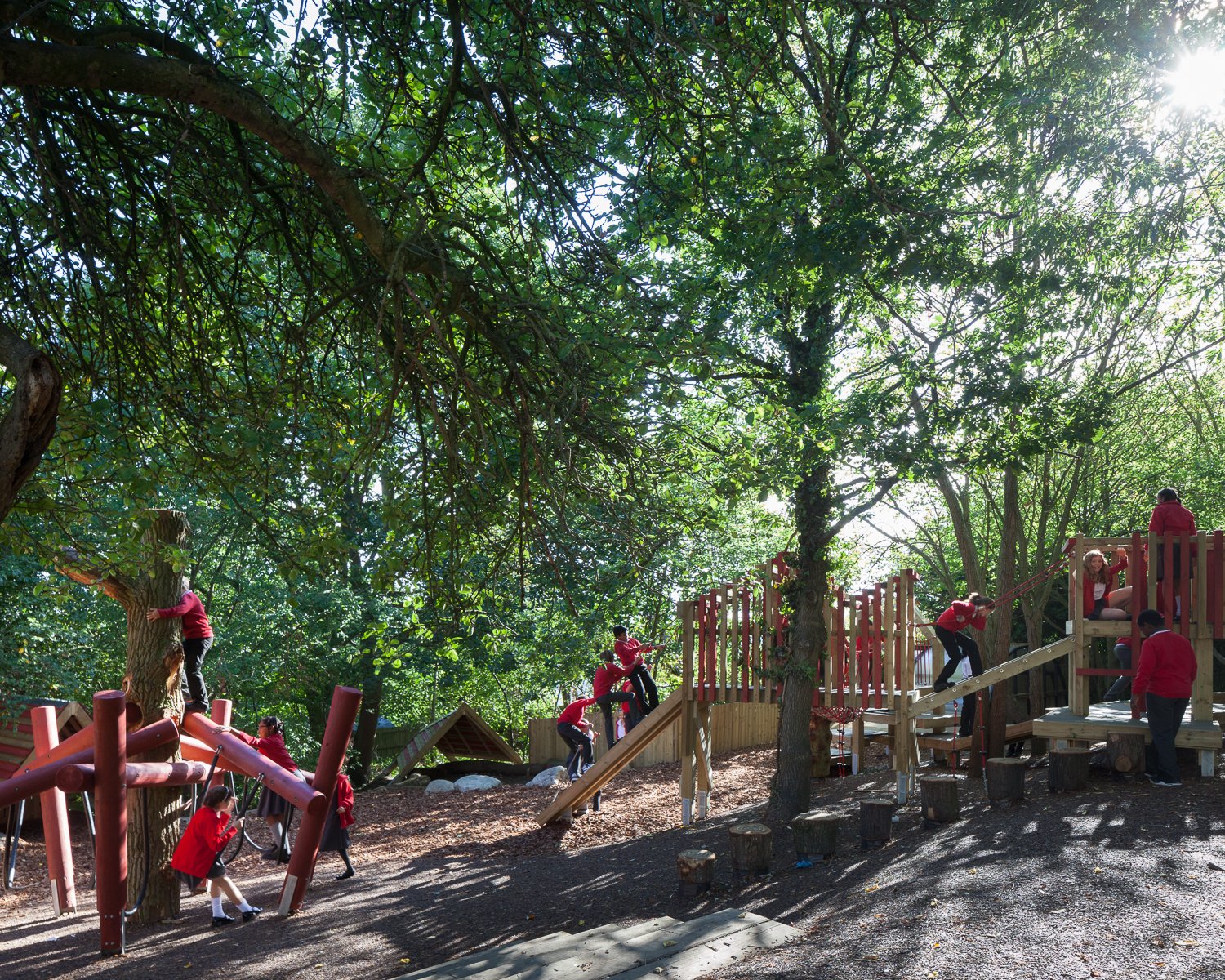 cypress_primary_hwilliams_WEB_01.jpg
