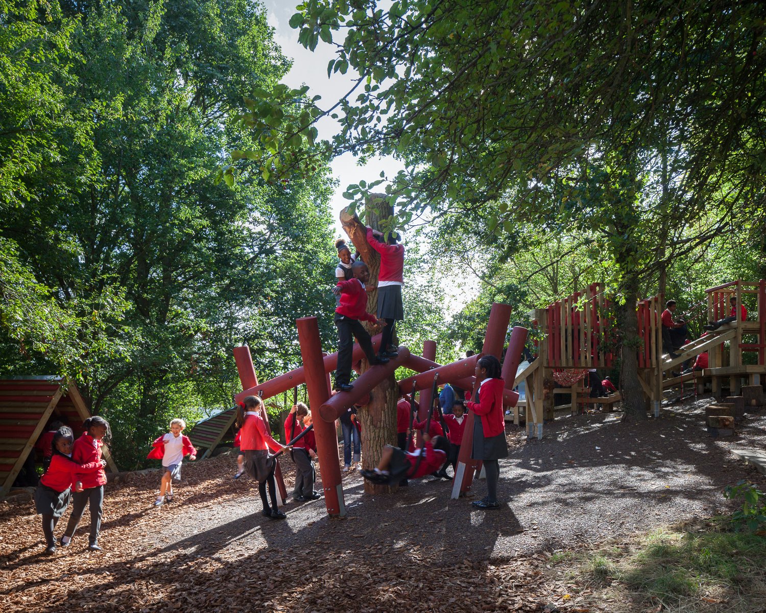 cypress_primary_hwilliams_WEB_02.jpg