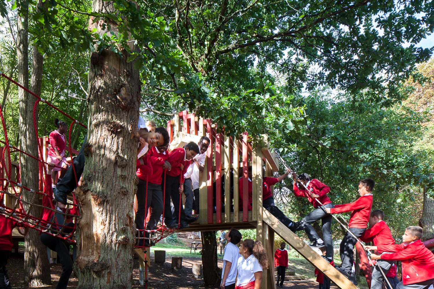 cypress_primary_hwilliams_WEB_06.jpg