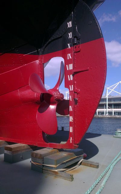 Robin prop.jpg